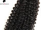 Estensione vergine riccia dei capelli umani di Brazilain dei capelli del grado 7A del nero di Wave Natutral fornitore