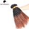 Due estensioni dei capelli di Ombre Remy di toni, tessitura riccia dei capelli umani per le donne di colore fornitore