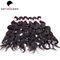 Arricci i capelli umani peruviani di Wave di acqua dei capelli di 6A Remy per le donne di colore fornitore
