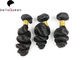 I capelli naturali del nero 6A Remy di 1 pacco, allentano la bella trama 100% dei capelli di Remy di stili di Wave fornitore